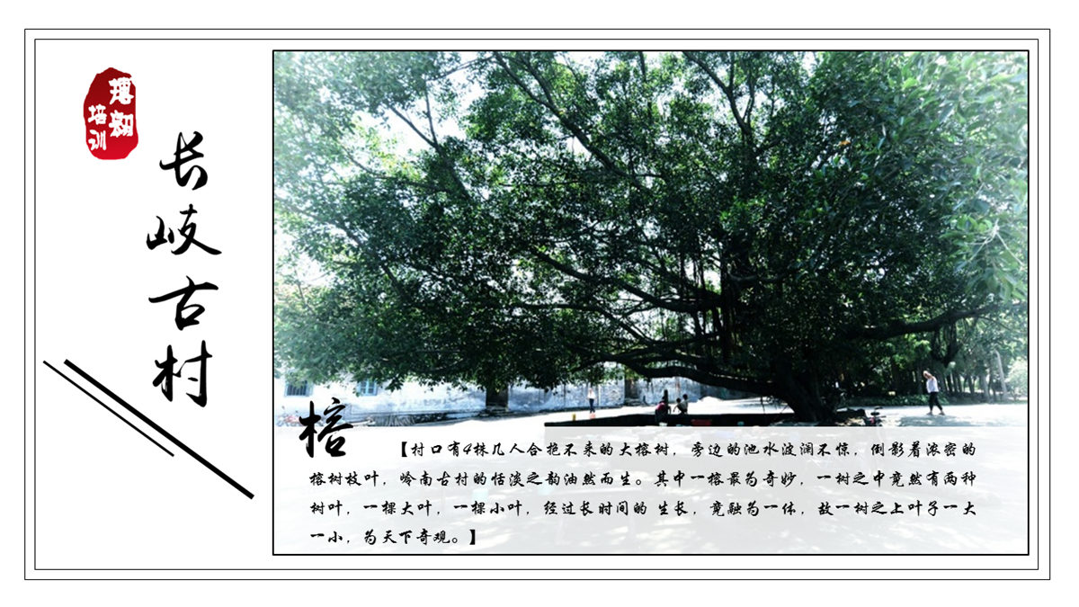 佛山三水長岐古村 佛山三水長岐古村